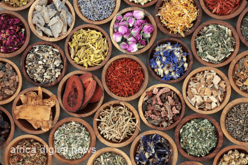 Powerful Herbs And Spices For Type 2 Diabetes Control