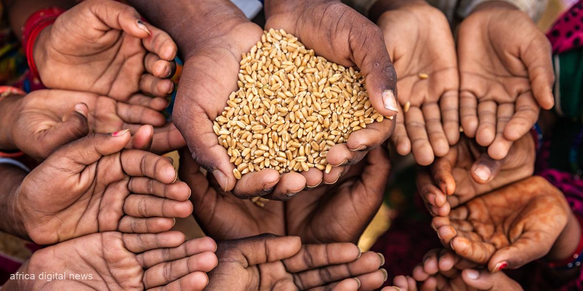 Global Food Crisis: Understanding Challenges And Solutions