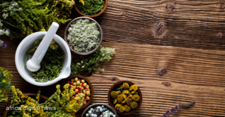 African Medicine: Merging Tradition With Modern Care