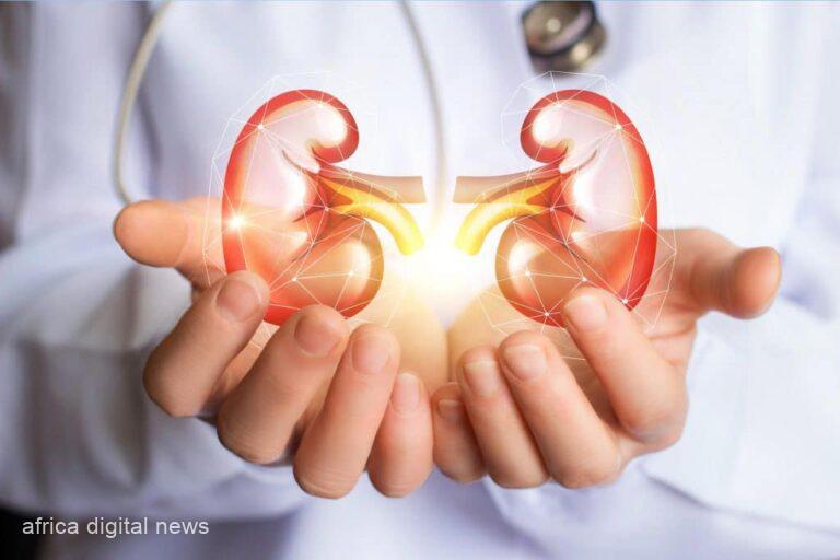 Understanding Kidney Issues: Causes And Proactive Prevention