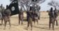 Boko Haram Terrorists Invade Yobe Community