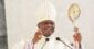 Killing Babies Is Height Of Lunacy - Ondo Catholic Bishop